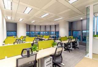 山东新型自动除柳絮装置欢迎咨询