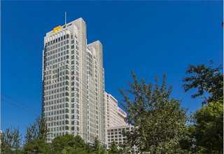 闵行区苗圃绿植租赁送货上门