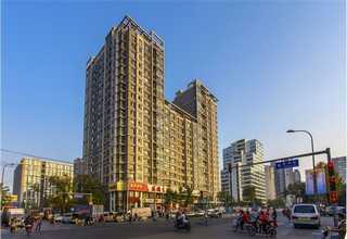 广西聚酯输送带多少钱